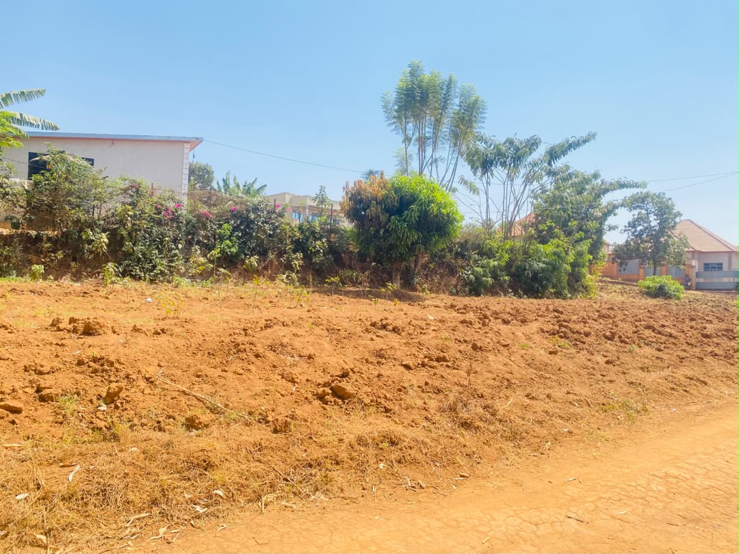 Plot for Sale, photo 3