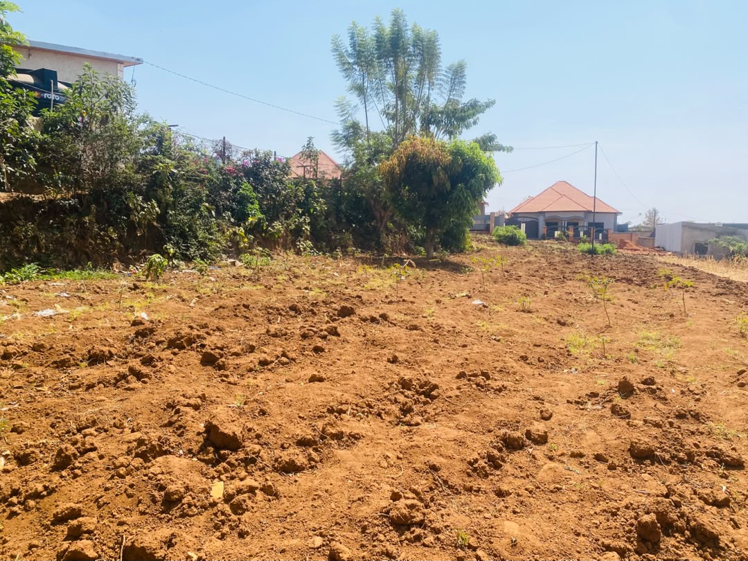 Plot for Sale, photo 1