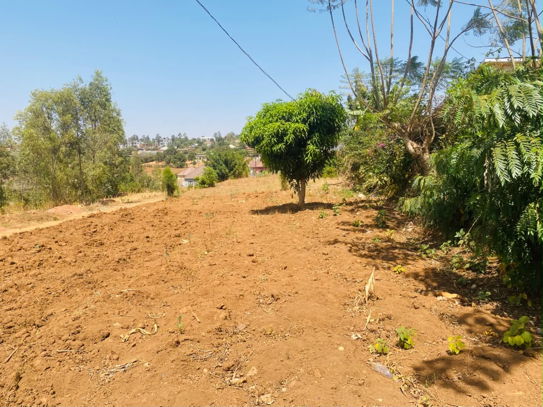 Plot for Sale, photo 4