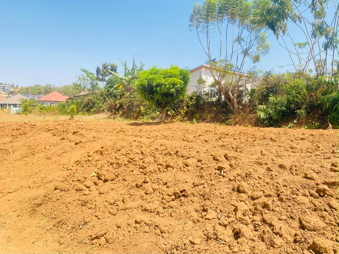 Plot for Sale, photo 2
